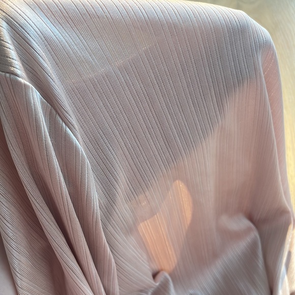 Sheer light pink long sleeve, Zara size M - Picture 3 of 3